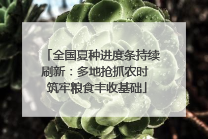 全国夏种进度条持续刷新：多地抢抓农时 筑牢粮食丰收基础