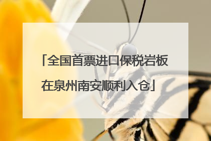 全国首票进口保税岩板在泉州南安顺利入仓