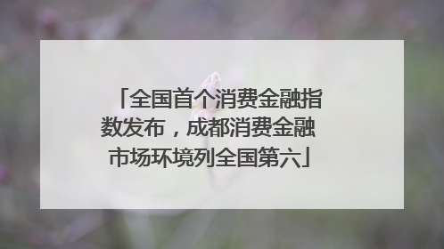 全国首个消费金融指数发布，成都消费金融市场环境列全国第六