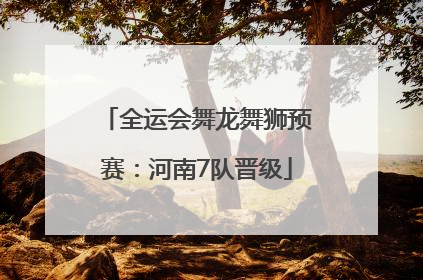 全运会舞龙舞狮预赛：河南7队晋级