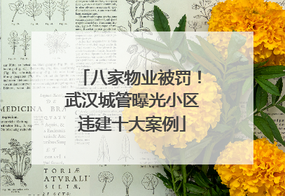 八家物业被罚！武汉城管曝光小区违建十大案例