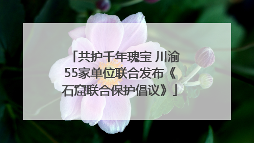 共护千年瑰宝 川渝55家单位联合发布《石窟联合保护倡议》