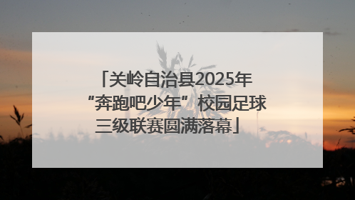 关岭自治县2025年“奔跑吧少年”校园足球三级联赛圆满落幕