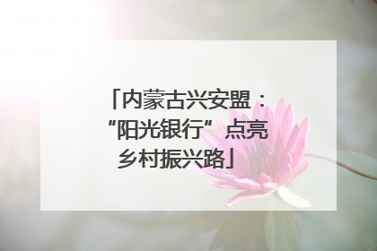 内蒙古兴安盟：“阳光银行”点亮乡村振兴路