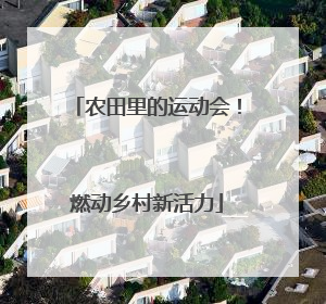农田里的运动会！燃动乡村新活力