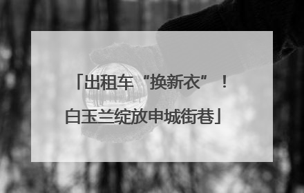 出租车“换新衣”！白玉兰绽放申城街巷