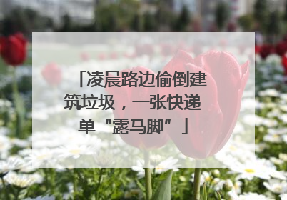 凌晨路边偷倒建筑垃圾，一张快递单“露马脚”