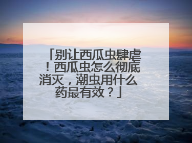 别让西瓜虫肆虐！西瓜虫怎么彻底消灭，潮虫用什么药最有效？