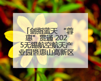 剑指蓝天 “蓉惠”贯通 2025无锡航空航天产业园暨惠山高新区投资环境推介会在成都举行