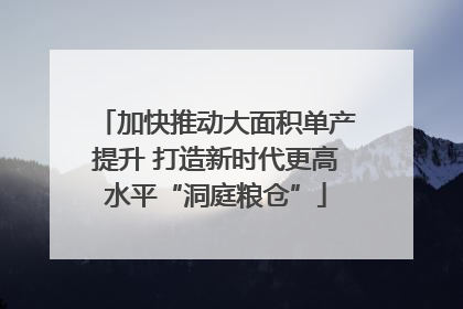 加快推动大面积单产提升 打造新时代更高水平“洞庭粮仓”