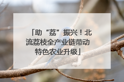 助“荔”振兴！北流荔枝全产业链带动特色农业升级