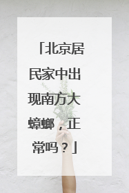北京居民家中出现南方大蟑螂，正常吗？