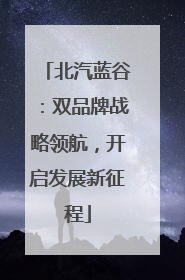 北汽蓝谷：双品牌战略领航，开启发展新征程