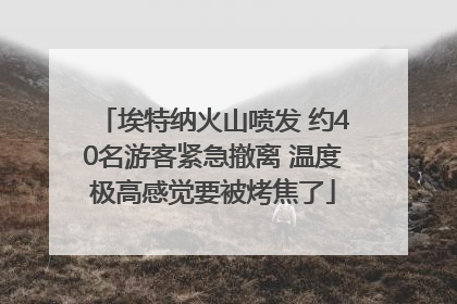 埃特纳火山喷发 约40名游客紧急撤离 温度极高感觉要被烤焦了