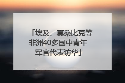 埃及、莫桑比克等非洲40多国中青年军官代表访华