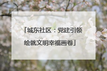 城东社区：党建引领绘就文明幸福画卷