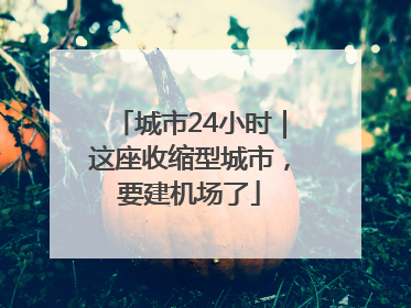 城市24小时｜这座收缩型城市，要建机场了