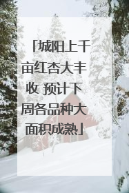 城阳上千亩红杏大丰收 预计下周各品种大面积成熟