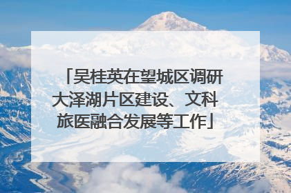 吴桂英在望城区调研大泽湖片区建设、文科旅医融合发展等工作