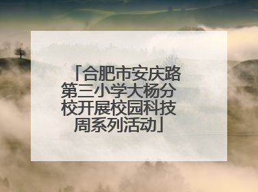 合肥市安庆路第三小学大杨分校开展校园科技周系列活动