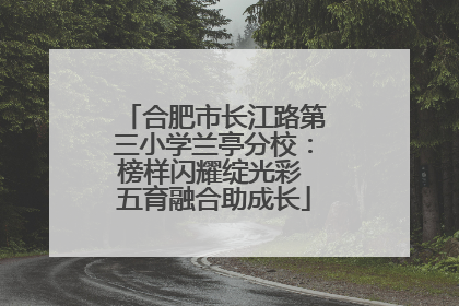 合肥市长江路第三小学兰亭分校：榜样闪耀绽光彩 五育融合助成长