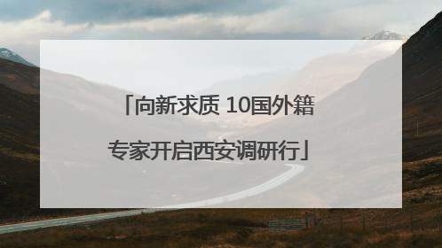 向新求质 10国外籍专家开启西安调研行