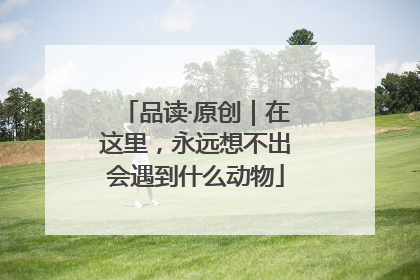 品读·原创｜在这里，永远想不出会遇到什么动物