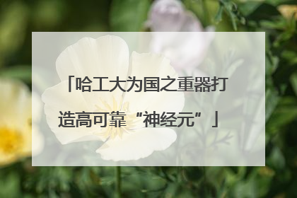 哈工大为国之重器打造高可靠“神经元”