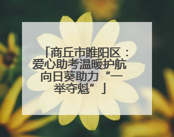 商丘市睢阳区：爱心助考温暖护航 向日葵助力“一举夺魁”