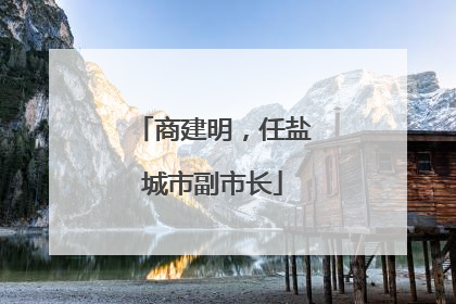 商建明，任盐城市副市长
