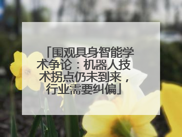 围观具身智能学术争论：机器人技术拐点仍未到来，行业需要纠偏