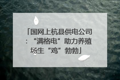 国网上杭县供电公司：“满格电”助力养殖场生“鸡”勃勃