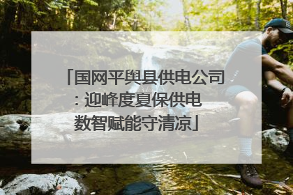 国网平舆县供电公司：迎峰度夏保供电  数智赋能守清凉