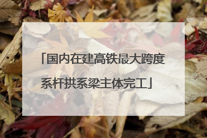 国内在建高铁最大跨度系杆拱系梁主体完工