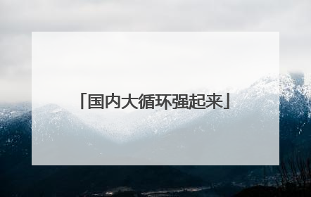 国内大循环强起来