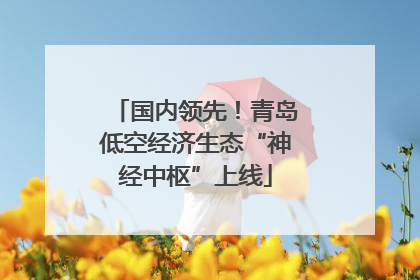 国内领先！青岛低空经济生态“神经中枢”上线