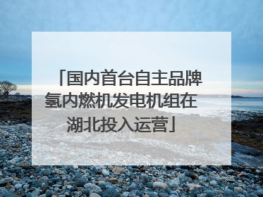 国内首台自主品牌氢内燃机发电机组在湖北投入运营