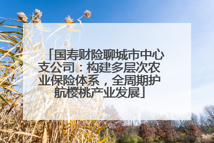国寿财险聊城市中心支公司：构建多层次农业保险体系，全周期护航樱桃产业发展