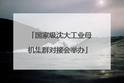 国家级沈大工业母机集群对接会举办