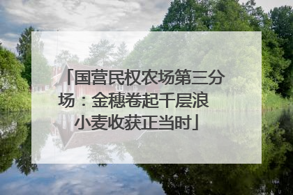 国营民权农场第三分场：金穗卷起千层浪 小麦收获正当时