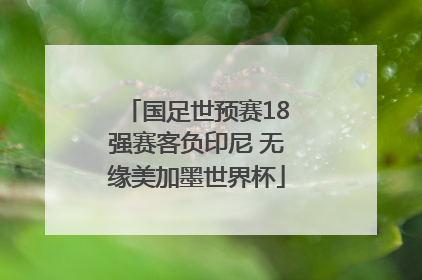国足世预赛18强赛客负印尼 无缘美加墨世界杯
