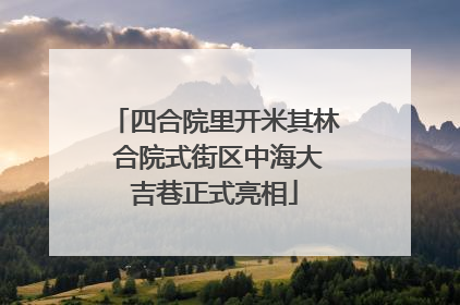 四合院里开米其林 合院式街区中海大吉巷正式亮相