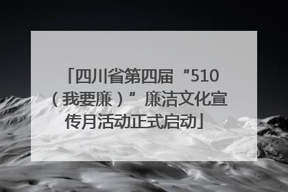 四川省第四届“510（我要廉）”廉洁文化宣传月活动正式启动