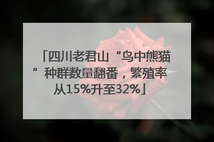 四川老君山“鸟中熊猫”种群数量翻番，繁殖率从15%升至32%