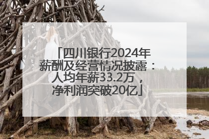 四川银行2024年薪酬及经营情况披露：人均年薪33.2万，净利润突破20亿