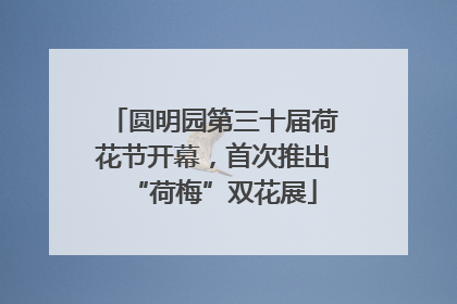 圆明园第三十届荷花节开幕，首次推出“荷梅”双花展