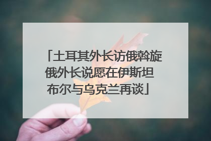 土耳其外长访俄斡旋 俄外长说愿在伊斯坦布尔与乌克兰再谈