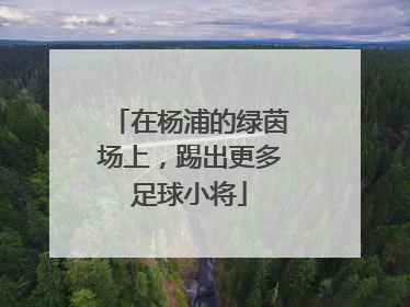 在杨浦的绿茵场上，踢出更多足球小将