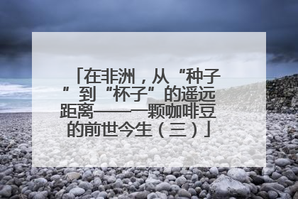 在非洲，从“种子”到“杯子”的遥远距离——一颗咖啡豆的前世今生（三）