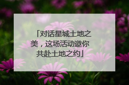 对话星城土地之美，这场活动邀你共赴土地之约